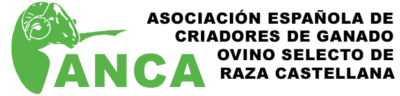 Logo ANCA