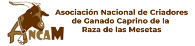 Logo ANCAM