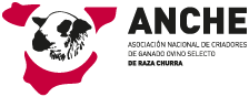 Logo ANCHE