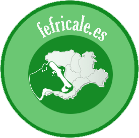 Logo FEFRICALE
